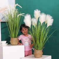 uploads/erp/collection/images/Home Garden/CongDing/XU0611242/img_b/XU0611242_img_b_1